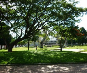 Parque Olaya Herrera - Costado Gobernación Risaralda Fuente: Panoramio.com Por ORLANDO/ 42 